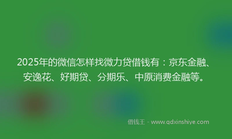 2025年的微信怎样找微力贷借钱有：京东金融、安逸花、好期贷、分期乐、中原消费金融等。