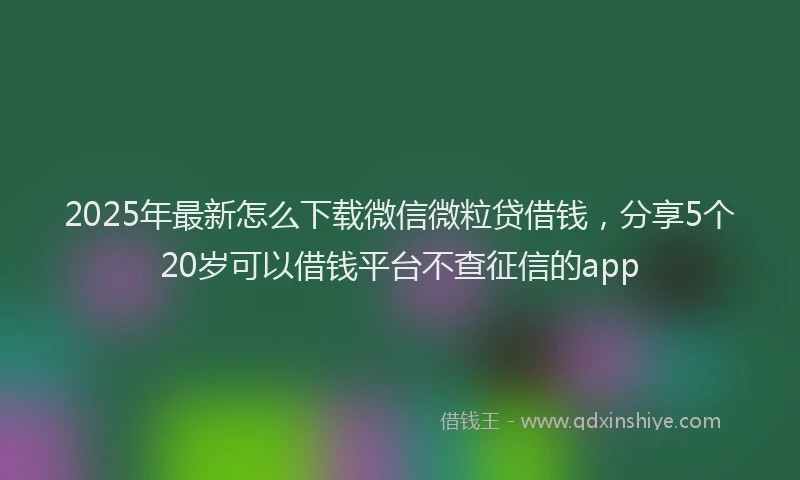 2025年最新怎么下载微信微粒贷借钱，分享5个20岁可以借钱平台不查征信的app