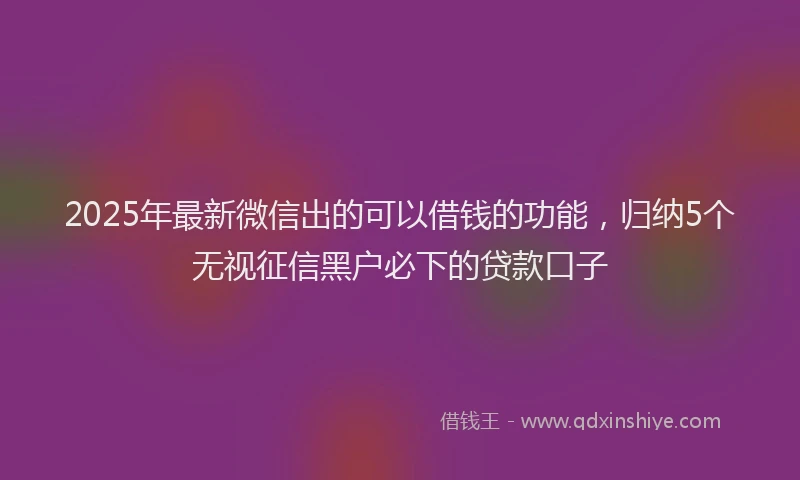 2025年最新微信出的可以借钱的功能，归纳5个无视征信黑户必下的贷款口子