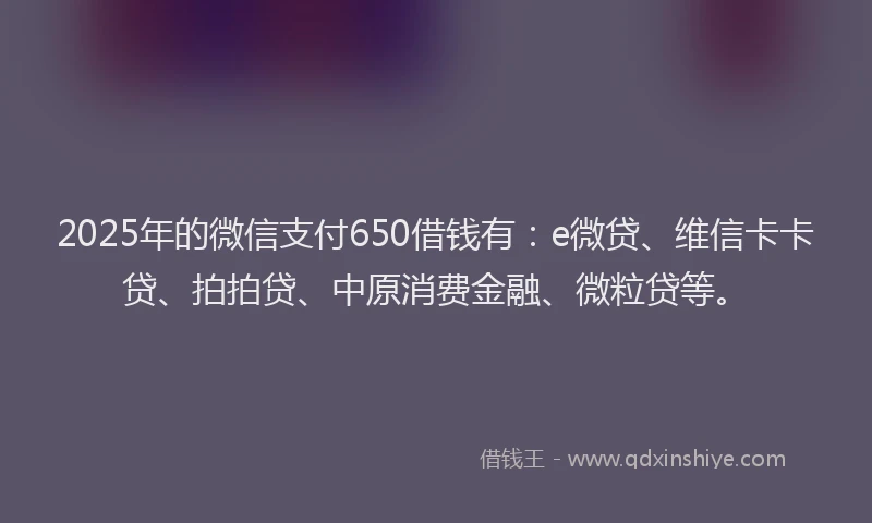 2025年的微信支付650借钱有：e微贷、维信卡卡贷、拍拍贷、中原消费金融、微粒贷等。