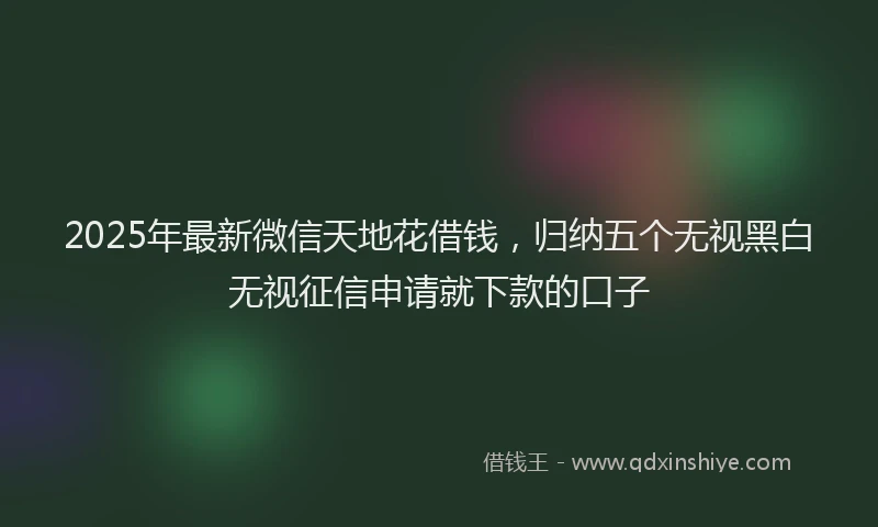 2025年最新微信天地花借钱，归纳五个无视黑白无视征信申请就下款的口子