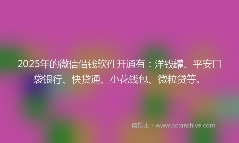 2025年的微信借钱软件开通有：洋钱罐、平安口袋银行、快贷通、小花钱包、微粒贷等。
