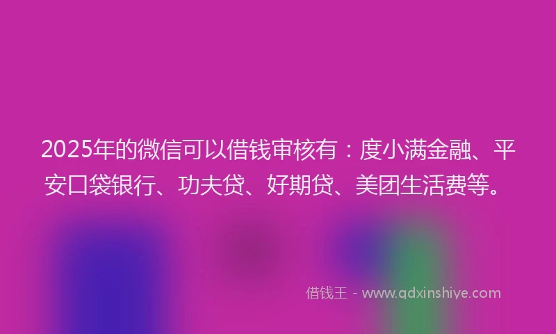 2025年的微信可以借钱审核有：度小满金融、平安口袋银行、功夫贷、好期贷、美团生活费等。