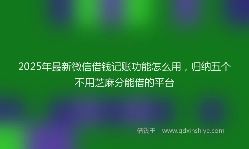 2025年最新微信借钱记账功能怎么用，归纳五个不用芝麻分能借的平台