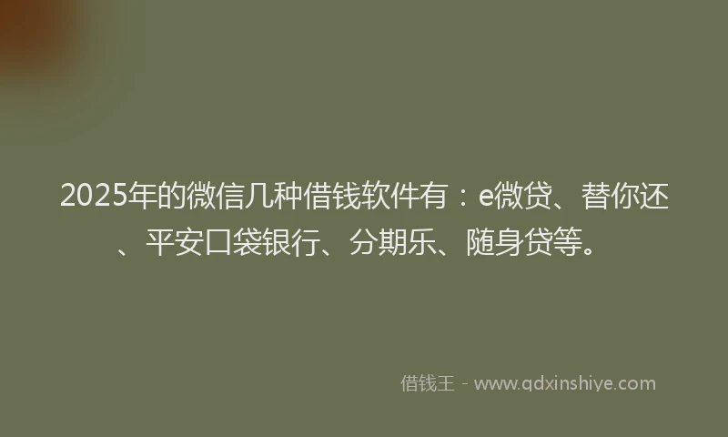 2025年的微信几种借钱软件有：e微贷、替你还、平安口袋银行、分期乐、随身贷等。