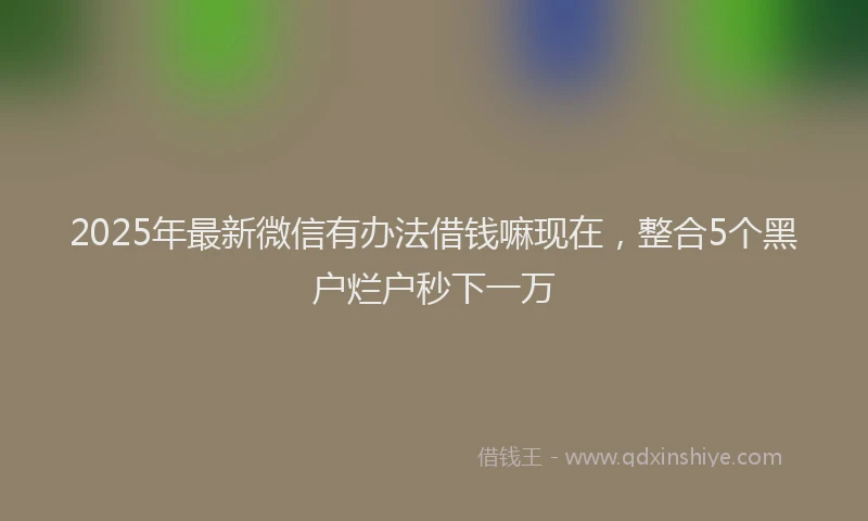 2025年最新微信有办法借钱嘛现在，整合5个黑户烂户秒下一万
