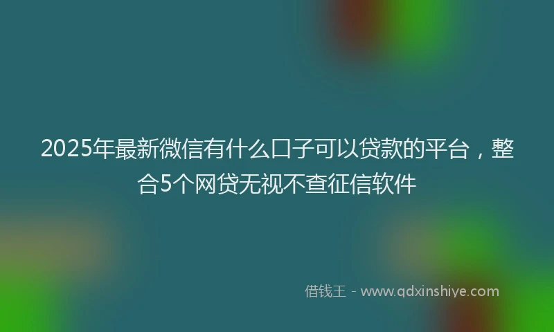 2025年最新微信有什么口子可以贷款的平台，整合5个网贷无视不查征信软件