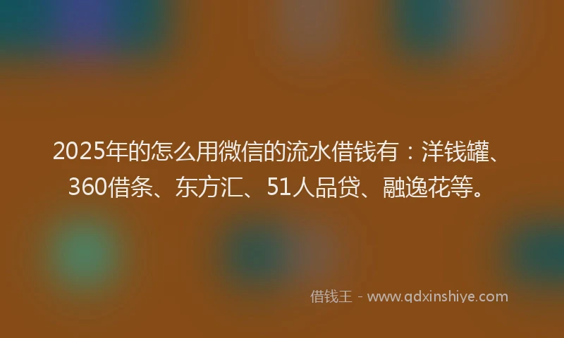 2025年的怎么用微信的流水借钱有：洋钱罐、360借条、东方汇、51人品贷、融逸花等。