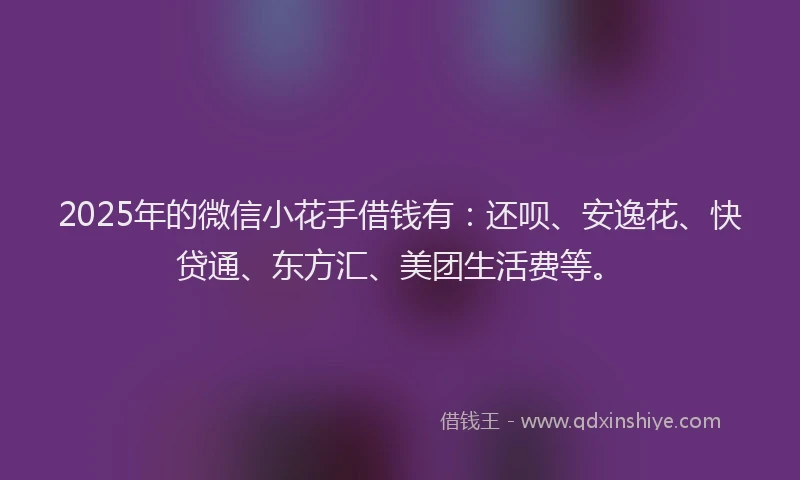 2025年的微信小花手借钱有：还呗、安逸花、快贷通、东方汇、美团生活费等。