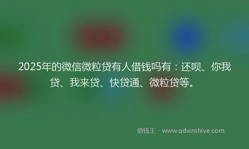 2025年的微信微粒贷有人借钱吗有：还呗、你我贷、我来贷、快贷通、微粒贷等。