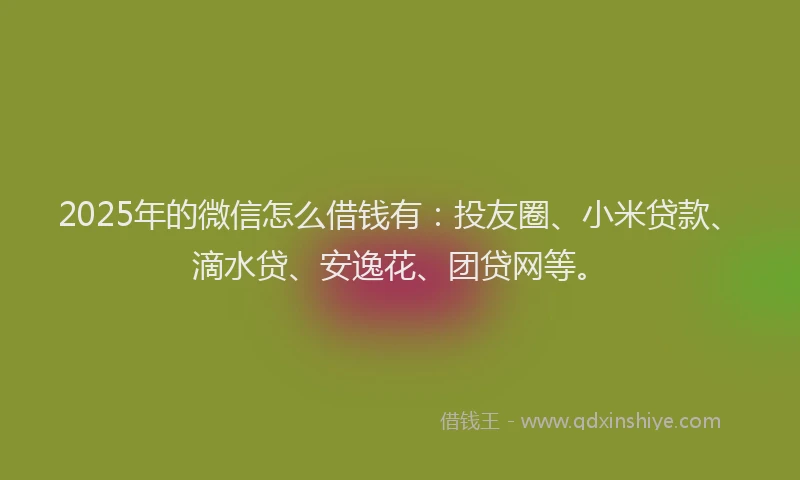 2025年的微信怎么借钱有：投友圈、小米贷款、滴水贷、安逸花、团贷网等。