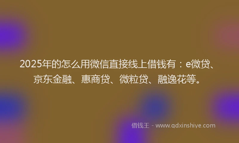 2025年的怎么用微信直接线上借钱有：e微贷、京东金融、惠商贷、微粒贷、融逸花等。