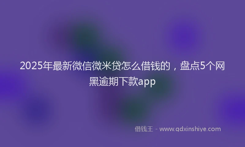 2025年最新微信微米贷怎么借钱的，盘点5个网黑逾期下款app