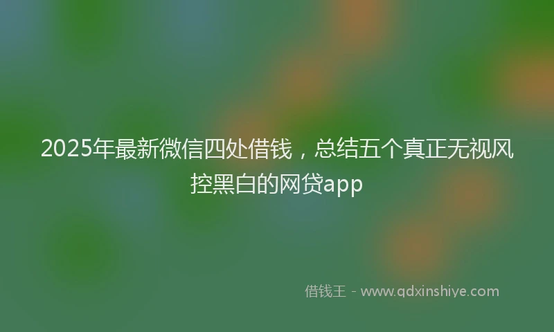 2025年最新微信四处借钱，总结五个真正无视风控黑白的网贷app