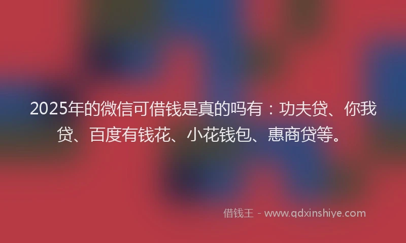 2025年的微信可借钱是真的吗有：功夫贷、你我贷、百度有钱花、小花钱包、惠商贷等。
