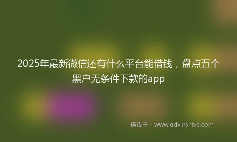 2025年最新微信还有什么平台能借钱，盘点五个黑户无条件下款的app