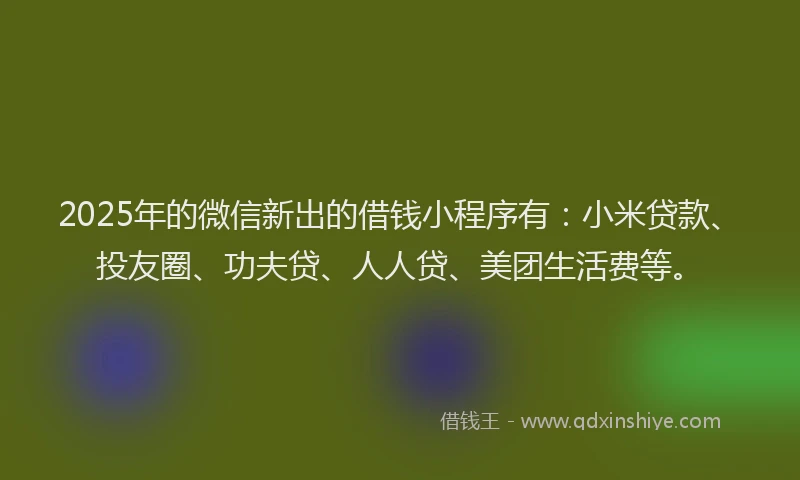 2025年的微信新出的借钱小程序有：小米贷款、投友圈、功夫贷、人人贷、美团生活费等。