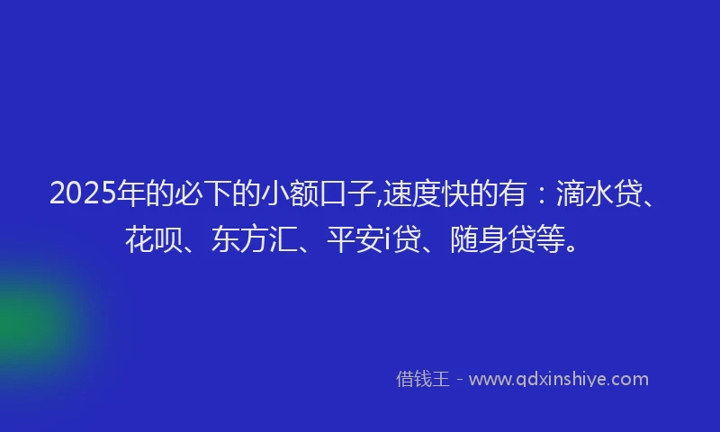 2025年的必下的小额口子,速度快的有：滴水贷、花呗、东方汇、平安i贷、随身贷等。