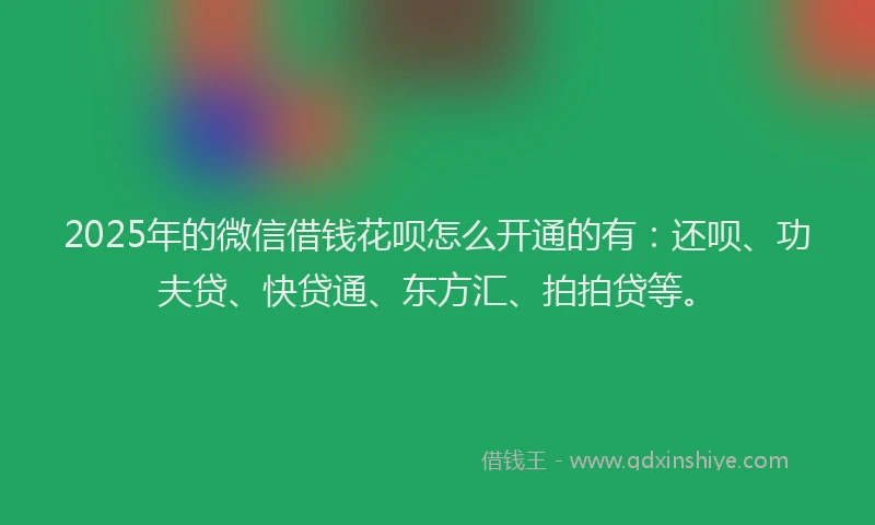 2025年的微信借钱花呗怎么开通的有：还呗、功夫贷、快贷通、东方汇、拍拍贷等。