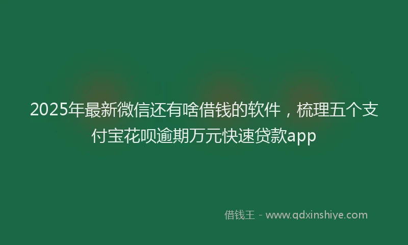 2025年最新微信还有啥借钱的软件，梳理五个支付宝花呗逾期万元快速贷款app