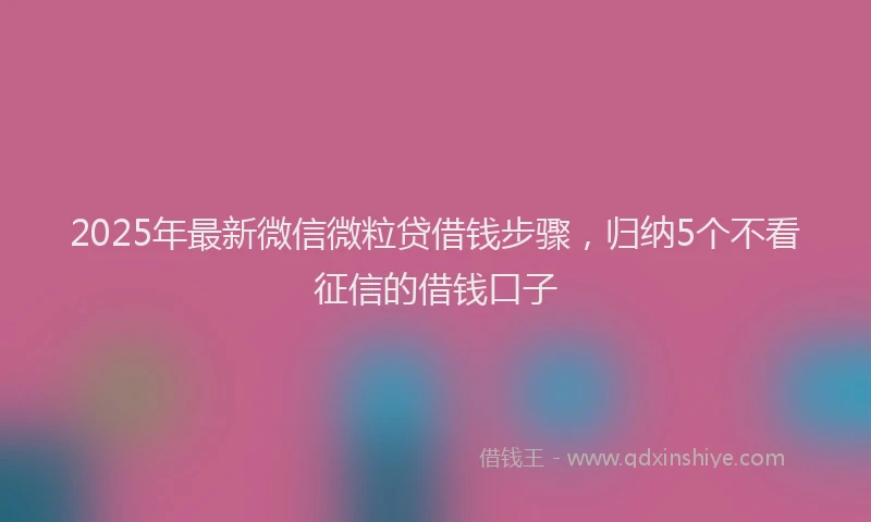 2025年最新微信微粒贷借钱步骤，归纳5个不看征信的借钱口子