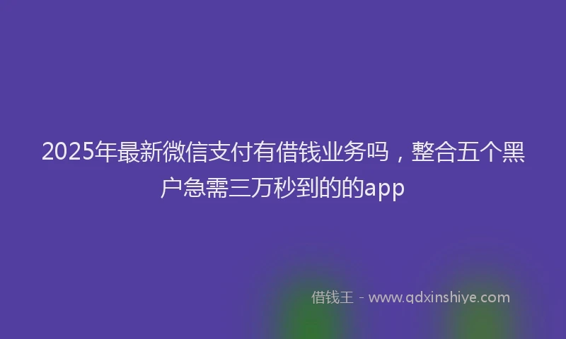 2025年最新微信支付有借钱业务吗，整合五个黑户急需三万秒到的的app