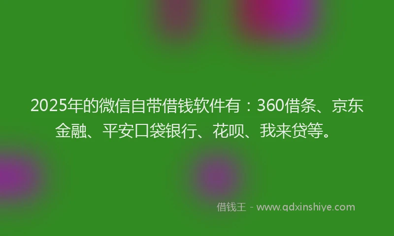 2025年的微信自带借钱软件有：360借条、京东金融、平安口袋银行、花呗、我来贷等。