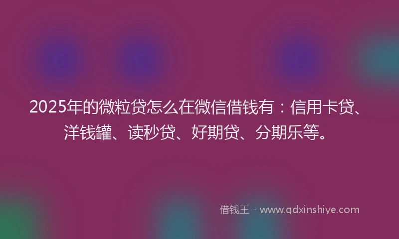 2025年的微粒贷怎么在微信借钱有：信用卡贷、洋钱罐、读秒贷、好期贷、分期乐等。