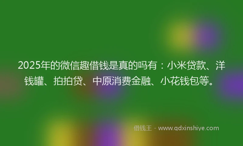 2025年的微信趣借钱是真的吗有：小米贷款、洋钱罐、拍拍贷、中原消费金融、小花钱包等。