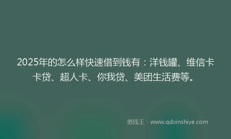 2025年的怎么样快速借到钱有：洋钱罐、维信卡卡贷、超人卡、你我贷、美团生活费等。