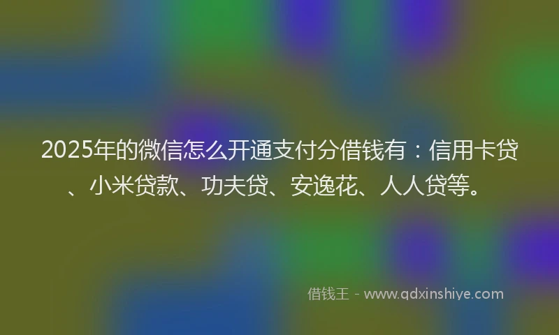 2025年的微信怎么开通支付分借钱有：信用卡贷、小米贷款、功夫贷、安逸花、人人贷等。