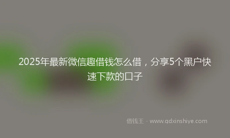 2025年最新微信趣借钱怎么借，分享5个黑户快速下款的口子