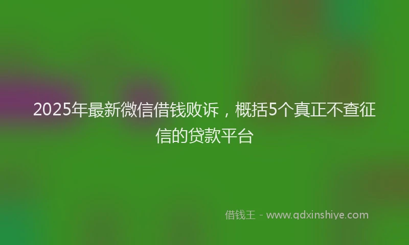 2025年最新微信借钱败诉，概括5个真正不查征信的贷款平台