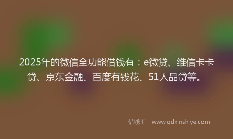 2025年的微信全功能借钱有：e微贷、维信卡卡贷、京东金融、百度有钱花、51人品贷等。