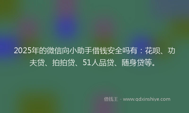 2025年的微信向小助手借钱安全吗有：花呗、功夫贷、拍拍贷、51人品贷、随身贷等。