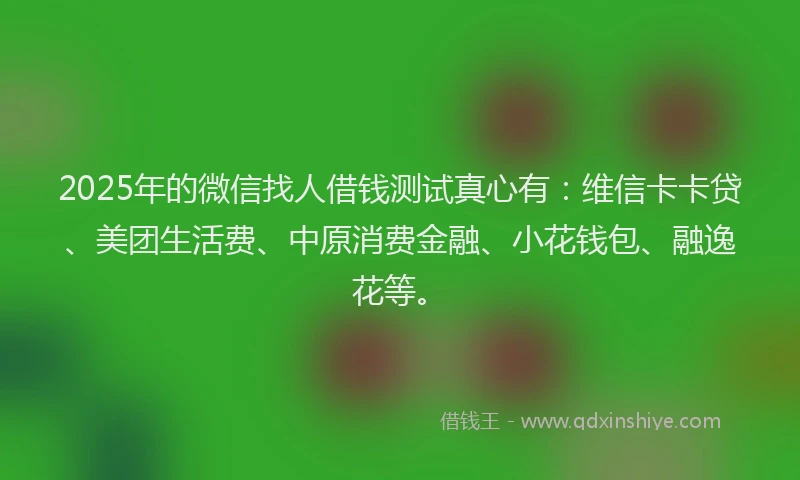 2025年的微信找人借钱测试真心有：维信卡卡贷、美团生活费、中原消费金融、小花钱包、融逸花等。