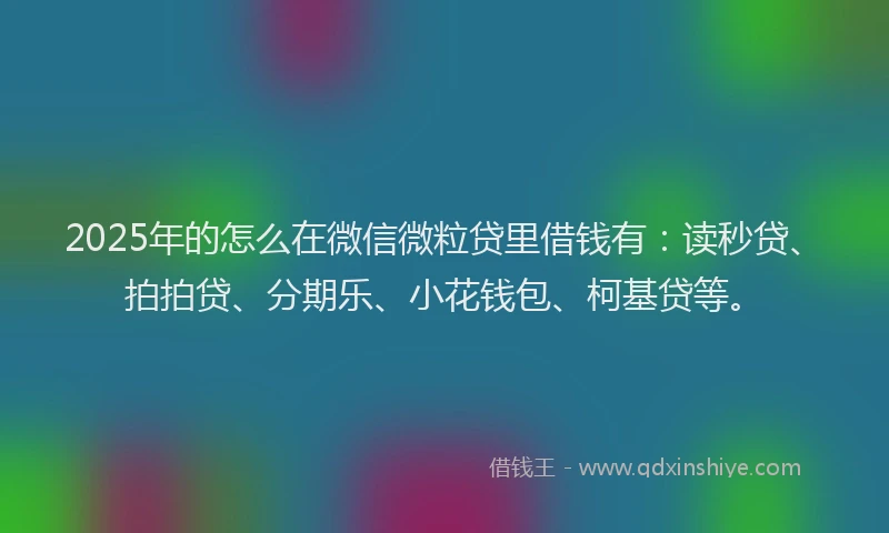 2025年的怎么在微信微粒贷里借钱有：读秒贷、拍拍贷、分期乐、小花钱包、柯基贷等。