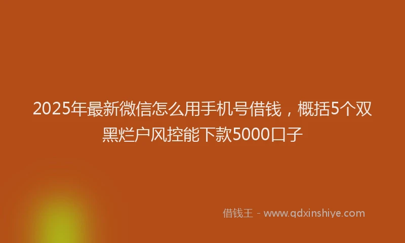 2025年最新微信怎么用手机号借钱，概括5个双黑烂户风控能下款5000口子
