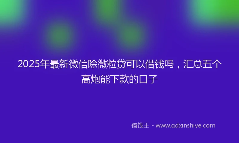 2025年最新微信除微粒贷可以借钱吗，汇总五个高炮能下款的口子