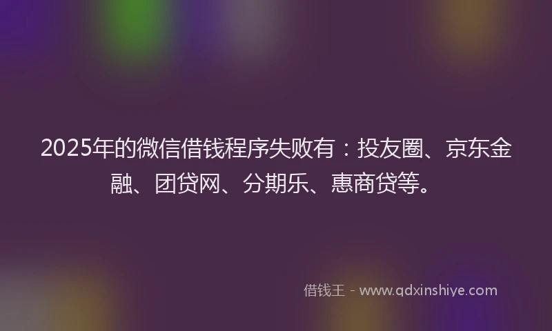 2025年的微信借钱程序失败有：投友圈、京东金融、团贷网、分期乐、惠商贷等。