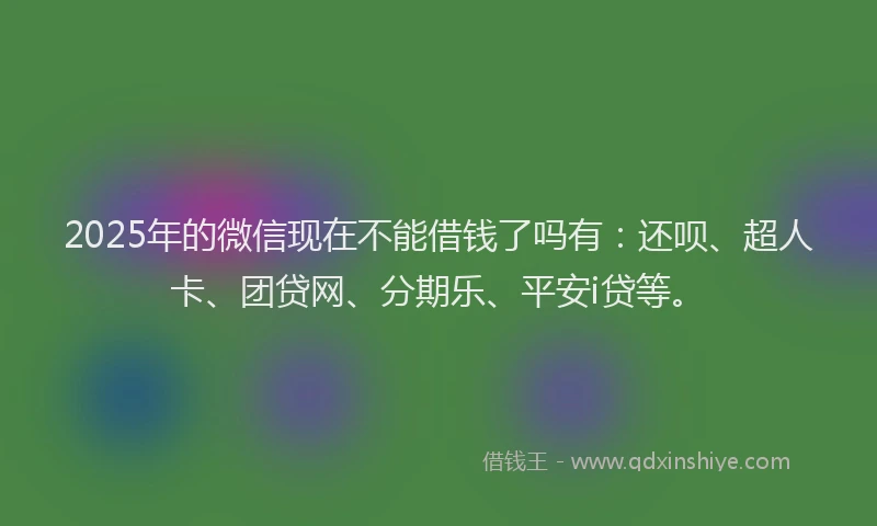 2025年的微信现在不能借钱了吗有：还呗、超人卡、团贷网、分期乐、平安i贷等。