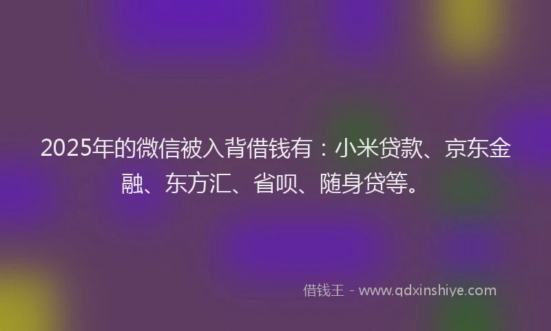 2025年的微信被入背借钱有：小米贷款、京东金融、东方汇、省呗、随身贷等。