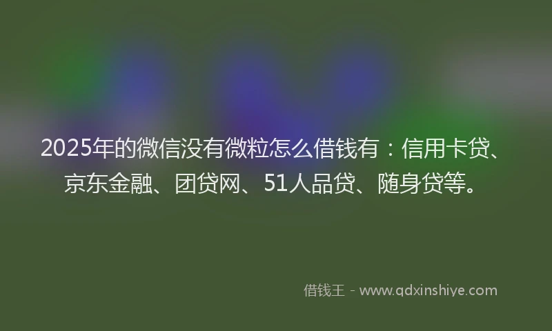 2025年的微信没有微粒怎么借钱有：信用卡贷、京东金融、团贷网、51人品贷、随身贷等。