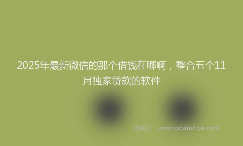 2025年最新微信的那个借钱在哪啊，整合五个11月独家贷款的软件
