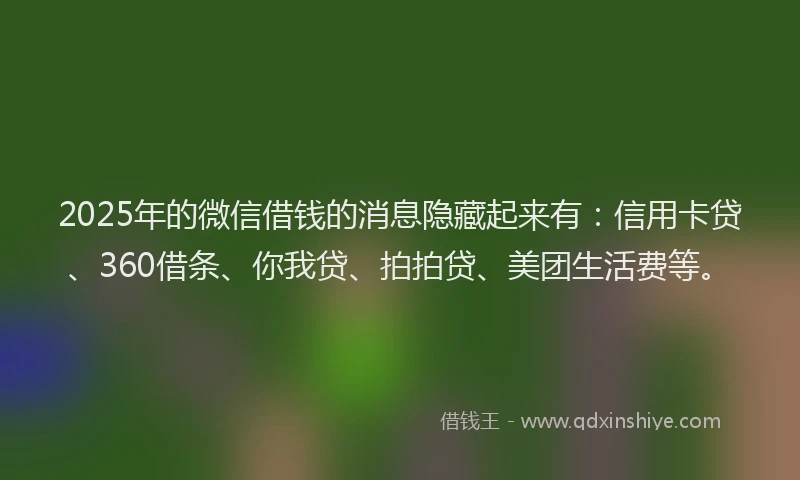 2025年的微信借钱的消息隐藏起来有：信用卡贷、360借条、你我贷、拍拍贷、美团生活费等。
