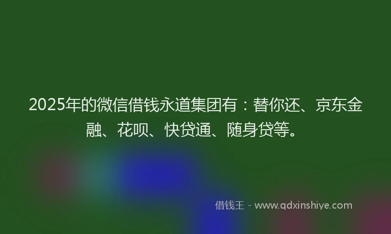 2025年的微信借钱永道集团有：替你还、京东金融、花呗、快贷通、随身贷等。