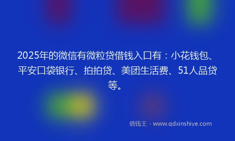 2025年的微信有微粒贷借钱入口有：小花钱包、平安口袋银行、拍拍贷、美团生活费、51人品贷等。