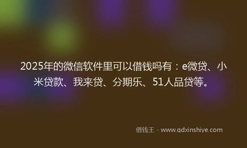 2025年的微信软件里可以借钱吗有：e微贷、小米贷款、我来贷、分期乐、51人品贷等。