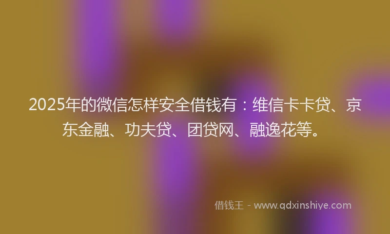 2025年的微信怎样安全借钱有：维信卡卡贷、京东金融、功夫贷、团贷网、融逸花等。