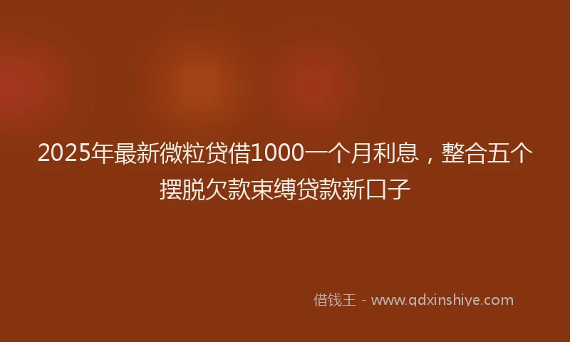 2025年最新微粒贷借1000一个月利息，整合五个摆脱欠款束缚贷款新口子